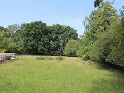 Picture 26